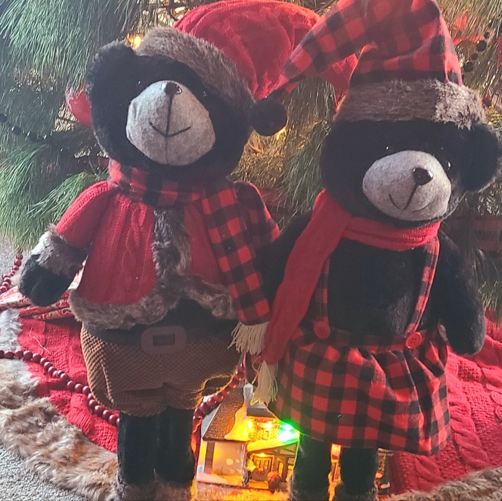 Adorable winter bear pair!
